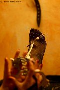 Foto Incontro Mistress Marina Di Carrara Lady De Sade Italy - 6