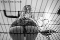 Foto Incontro Mistress Verona Lady Giuliette - 16