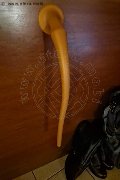 Foto Incontro Mistress Verona Mistress Diana Queen - 11