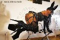 Foto Incontro Mistresstrans Roma Mistress Kassandra Iaska - 23