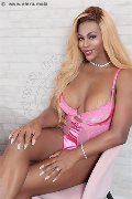Foto Incontro Transescort Bergamo Ivy Muller - 34