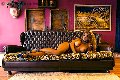Foto Incontro Transescort Brescia Jessica Aryani - 18