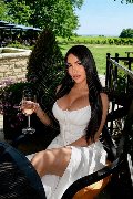 Foto Incontro Transescort Marbella Mishelli - 1
