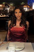 Foto Incontro Transescort Verona Gabriela Lemos - 1