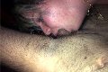 Chiavari Trans Maite De L'Enclos 329 83 37 093 foto selfie 52