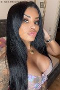 Leibnitz Trans Bruna Xl  004917680451913 foto selfie 28