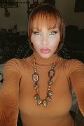 Treviso Trans Valeria 338 87 18 849 foto selfie 242