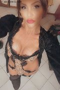 Treviso Trans Valeria 338 87 18 849 foto selfie 249
