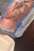 Treviso Trans Valeria 338 87 18 849 foto selfie 1026