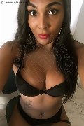 Gallarate Trans Escort Thalita Top Xxxl 388 48 85 062 foto selfie 22