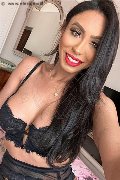 Gallarate Trans Escort Thayys Castro 329 72 89 046 foto selfie 23