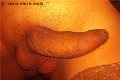 Napoli Trans Escort Vittoria Mazza 334 77 63 969 foto selfie 18