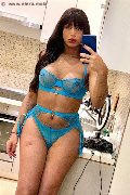 Novara Trans Escort Gabriella Rios 392 66 55 253 foto selfie 18
