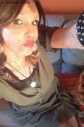 Treviso Trans Escort Valeria 338 87 18 849 foto selfie 714