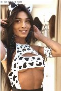 Foto Incontro Transescort Imola Brunna Campanaro - 103