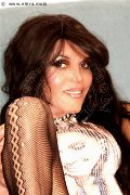 Foto Incontro Transescort Seriate Webcam Trans Escort Nina Tx - 35