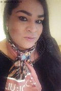 Spresiano Trans Brunna Huns 366 11 01 715 foto selfie 3