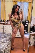 Dalmine Trans Escort Luisa 334 32 13 842 foto selfie 142