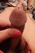Pordenone Trans Escort Ladyboy Carlina 350 95 76 839 foto selfie 6