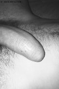 Prato Trans Escort Lucrezia Hikman 351 29 44 990 foto selfie 87